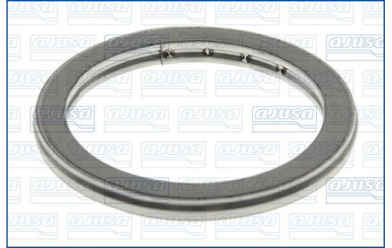 Seal Ring, exhaust pipe, Image 2