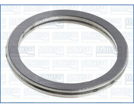 Seal Ring, exhaust pipe, Image 2