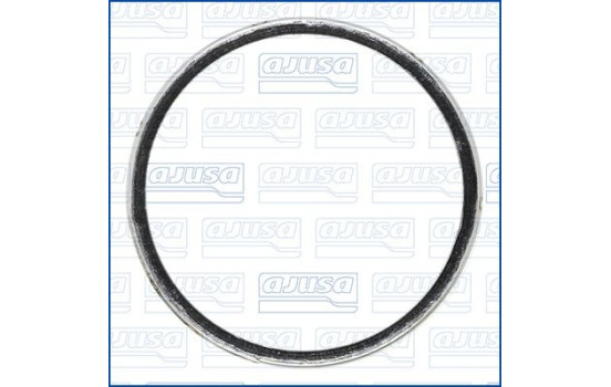 Seal Ring, exhaust pipe