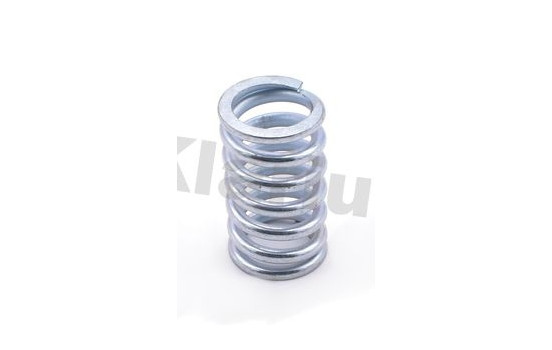 Spring, exhaust pipe