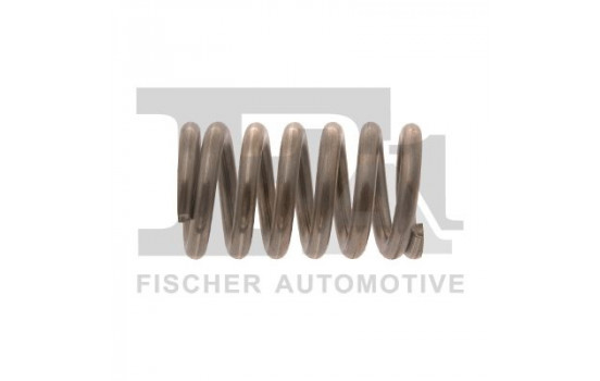 Spring, silencer Spring, silencer