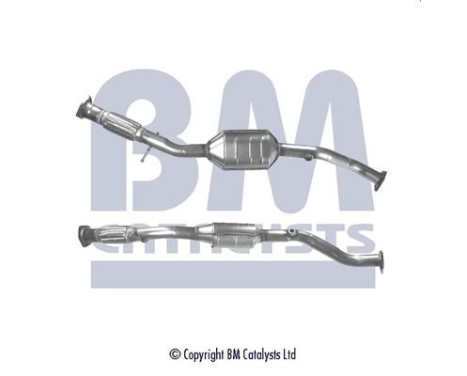 Catalyst Peugeot / Citroen / Fiat, Image 2