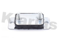 Assortment, exhaust system Mount