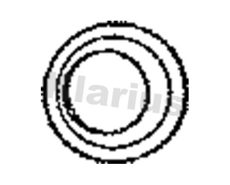 Exhaust gasket, Image 2