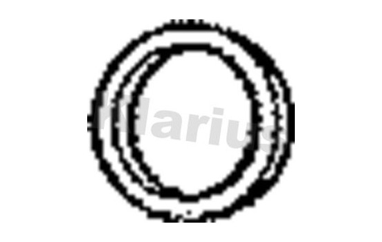 Exhaust gasket, Image 2