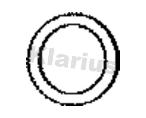 Exhaust gasket, Image 2