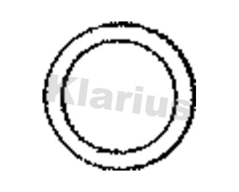 Exhaust gasket, Image 2