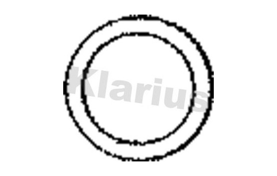Exhaust gasket