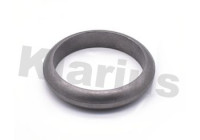 Exhaust gasket