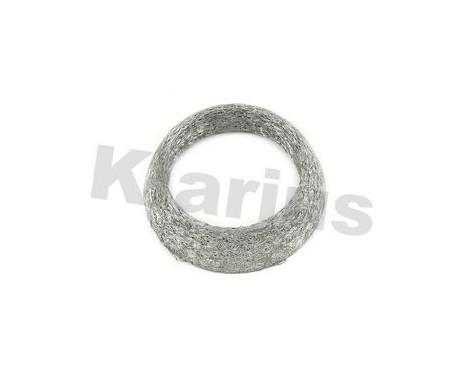 Exhaust gasket