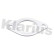 Exhaust gasket