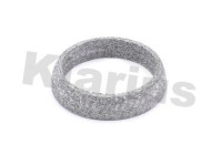 Exhaust gasket