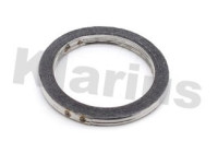 Exhaust gasket