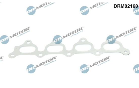 Gasket, exhaust bend