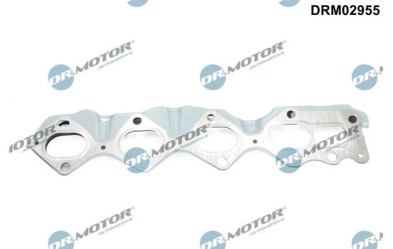 Gasket, exhaust bend