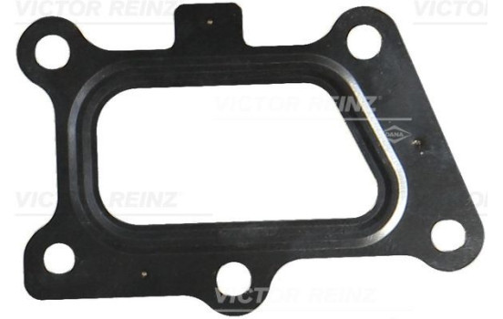 Gasket, exhaust elbow