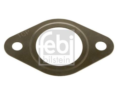 Gasket, exhaust elbow