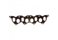Gasket, exhaust manifold