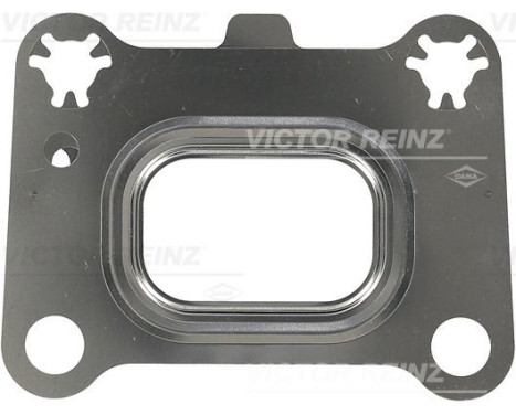 Gasket, exhaust manifold