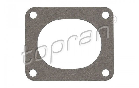 Gasket, exhaust pipe