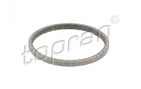 Gasket, exhaust pipe