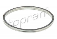 Gasket, exhaust pipe