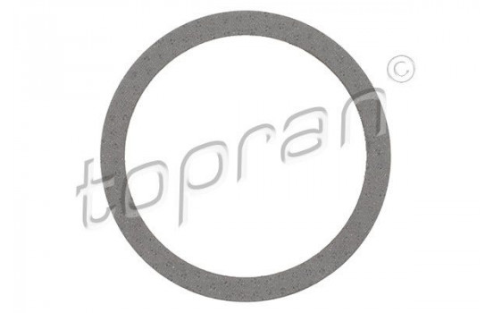 Gasket, exhaust pipe