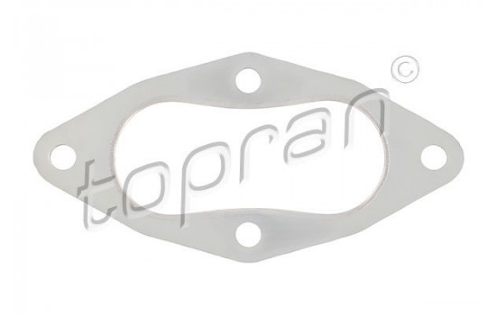 Gasket, exhaust pipe