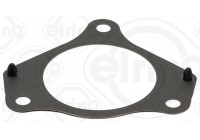 Gasket, exhaust pipe