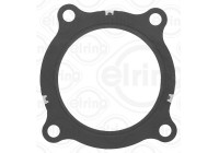 Gasket, exhaust pipe