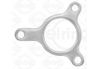 Gasket, exhaust pipe