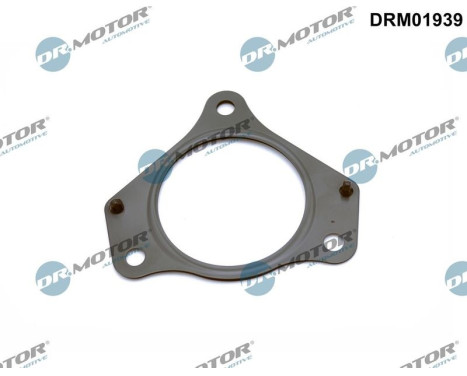 Gasket, exhaust pipe