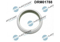 Gasket, exhaust pipe