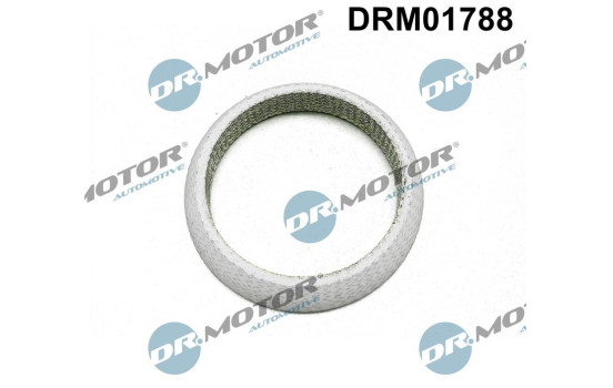 Gasket, exhaust pipe