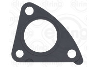 Gasket, exhaust pipe