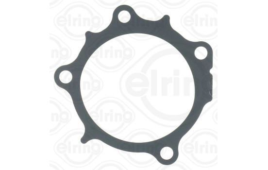 Gasket, exhaust pipe