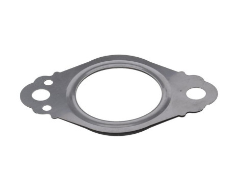 Gasket, exhaust pipe