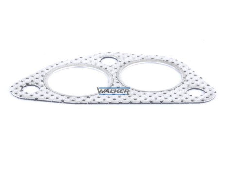 Gasket, exhaust pipe