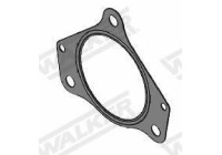 Gasket, exhaust pipe