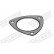 Gasket, exhaust pipe, Thumbnail 5