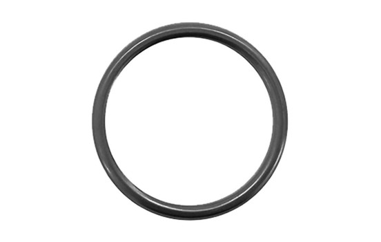 Gasket, exhaust pipe, Image 6