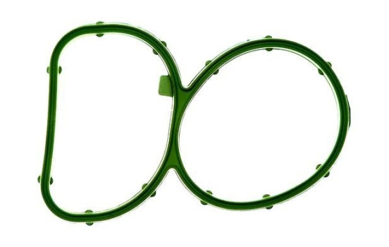 Gasket, intake manifold