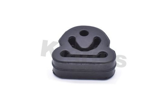 Holder, exhaust system