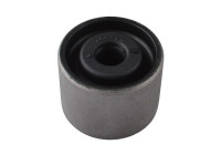 Holder, exhaust system