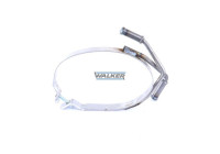 Holder, exhaust system