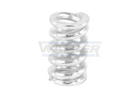 Mounting spring, damper