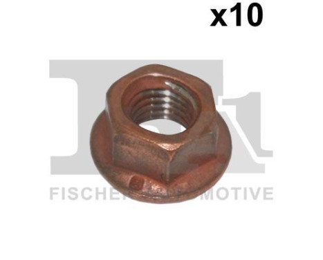 Nut 10 pcs