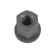 Nut, Thumbnail 2