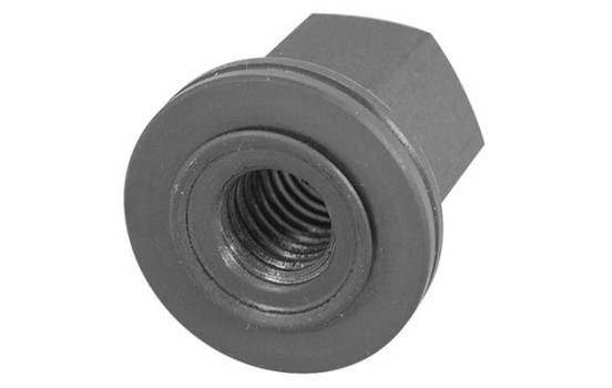 Nut, Image 3