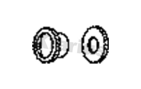 Ring PSA, Image 2